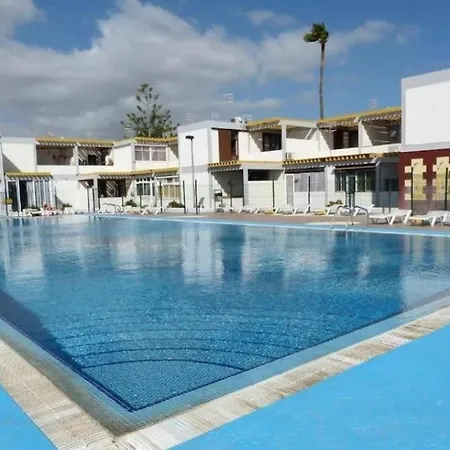 Drago 366 * Costa Del Silencio